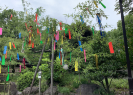 tanabata japanese festival