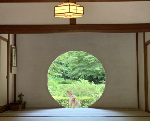 Manifesting Kalyn's Meigetsuin