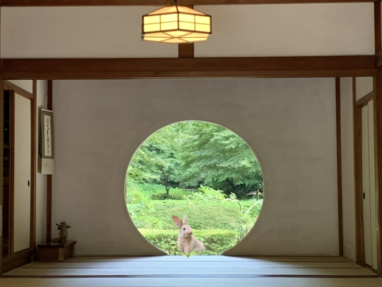 Manifesting Kalyn's Meigetsuin