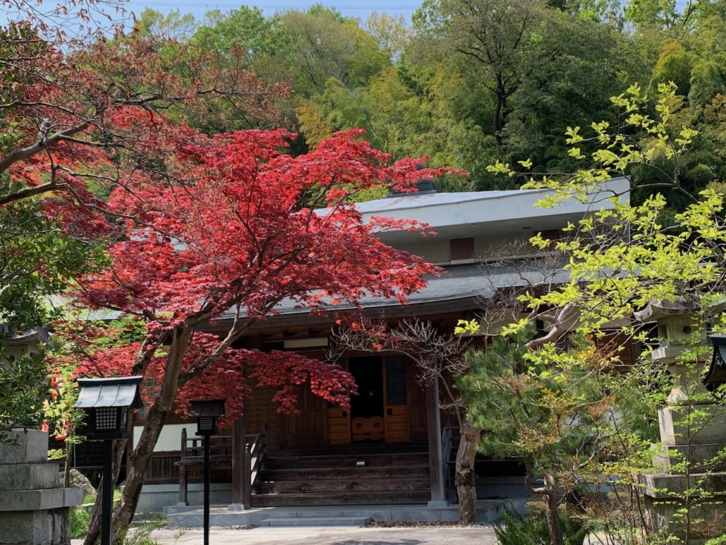 Shinshoji in early spring