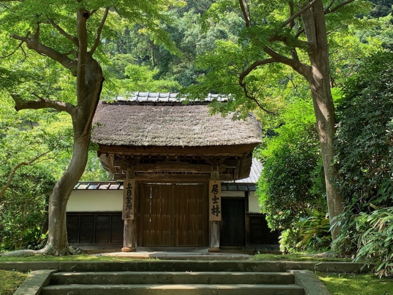 Discover Ancient Kamakura