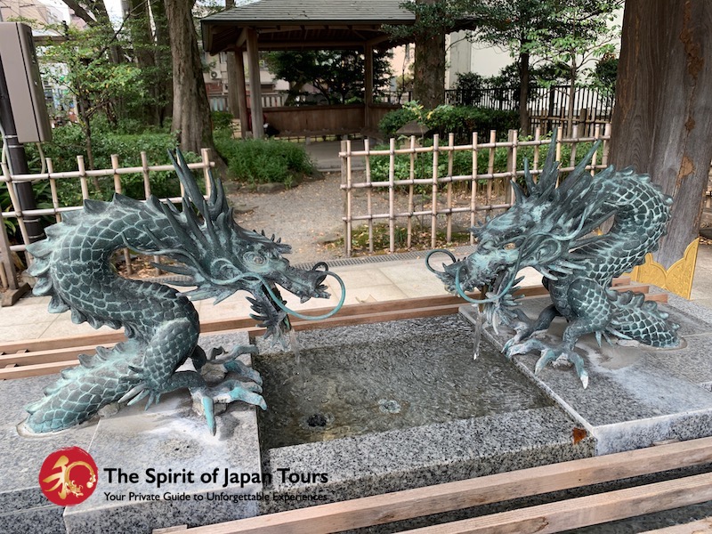 Okuni Tama Dragons