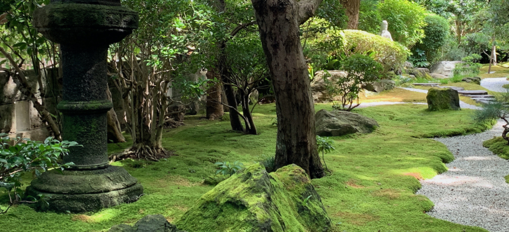 A quiet Japanese zen garden