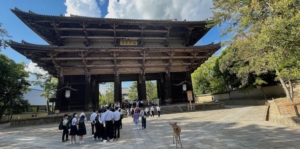 Nara – a story of ancient temples, traditions and …. deer