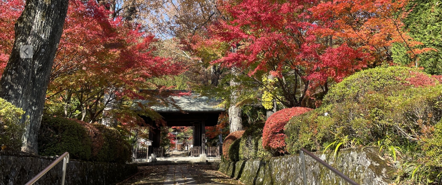 Enjoy the brilliant colors of autumn in Japan
