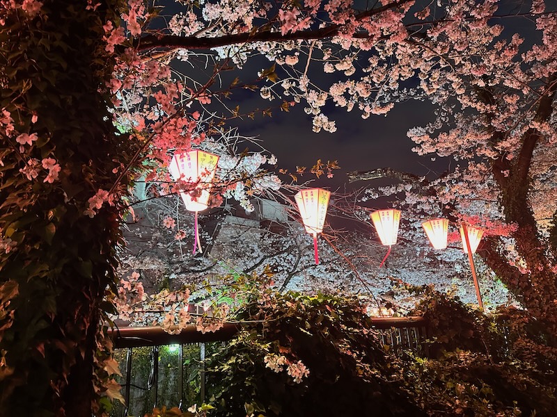 Meguro River