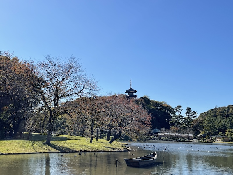 Sankeien in the fall