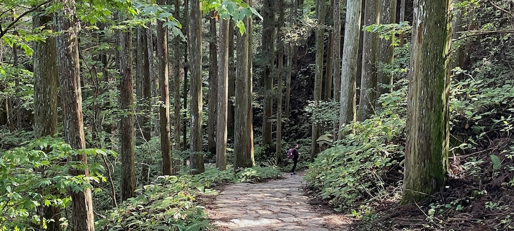 Walk the ancient mountain road connecting Kyoto and Edo