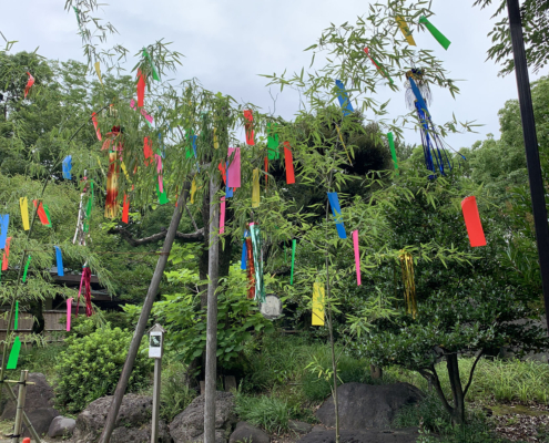 tanabata japanese festival