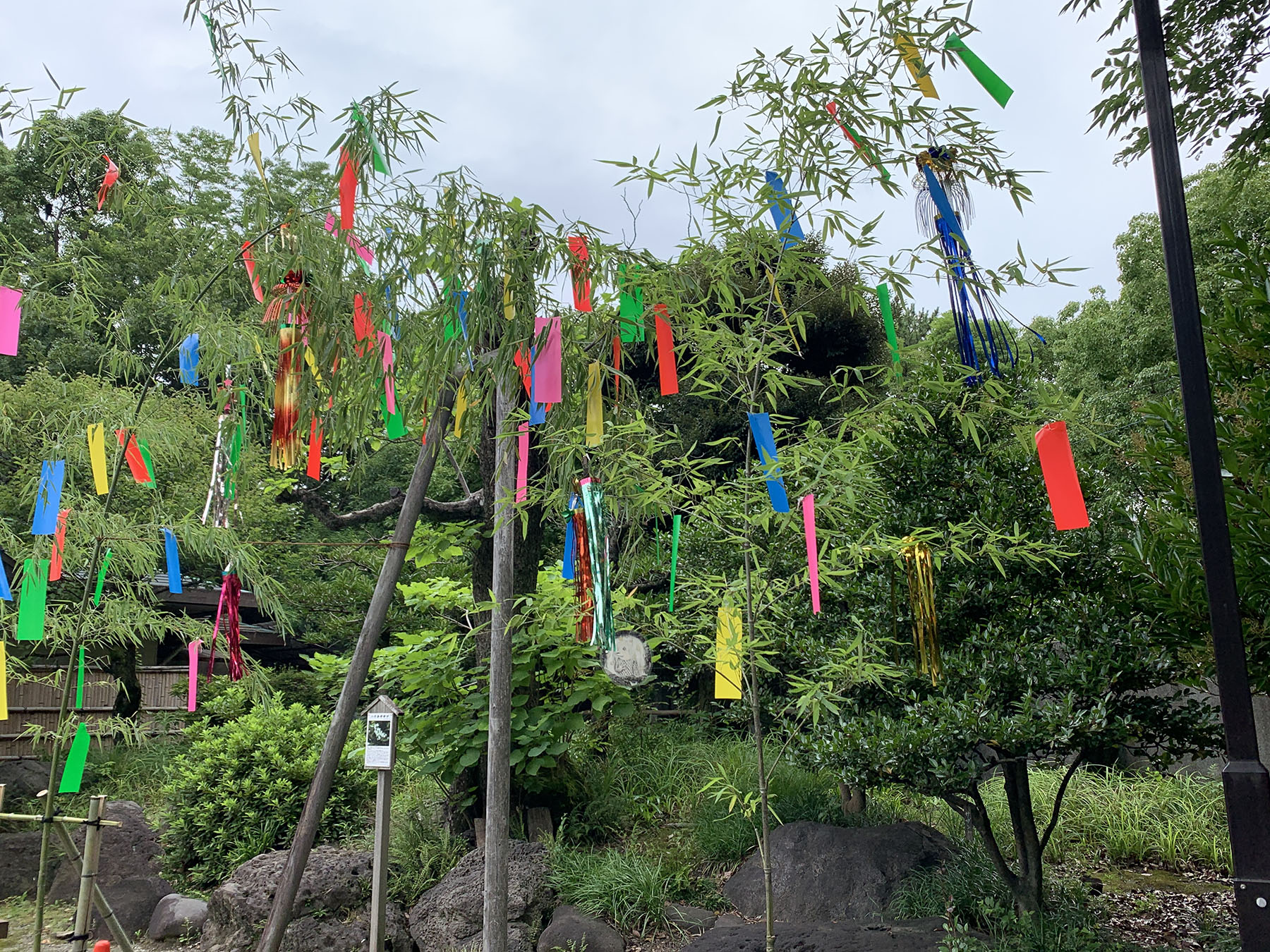 Tanabata Festival The Spirit of Japan Tours